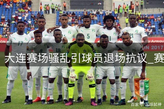 大连赛场骚乱引球员退场抗议 赛区管理疏漏或面临严惩